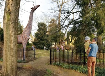 Children's Sculpture Zoo